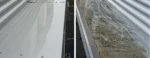 Facade shampoo