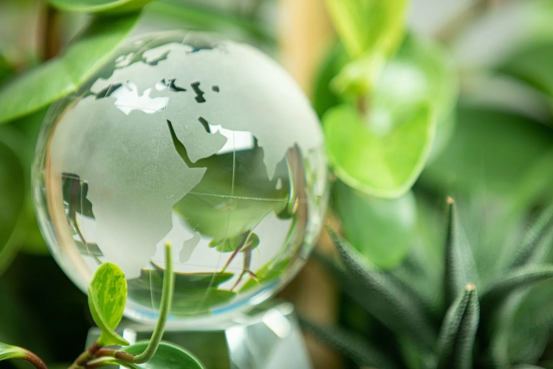 SUSTAINABILITY CHALLENGES