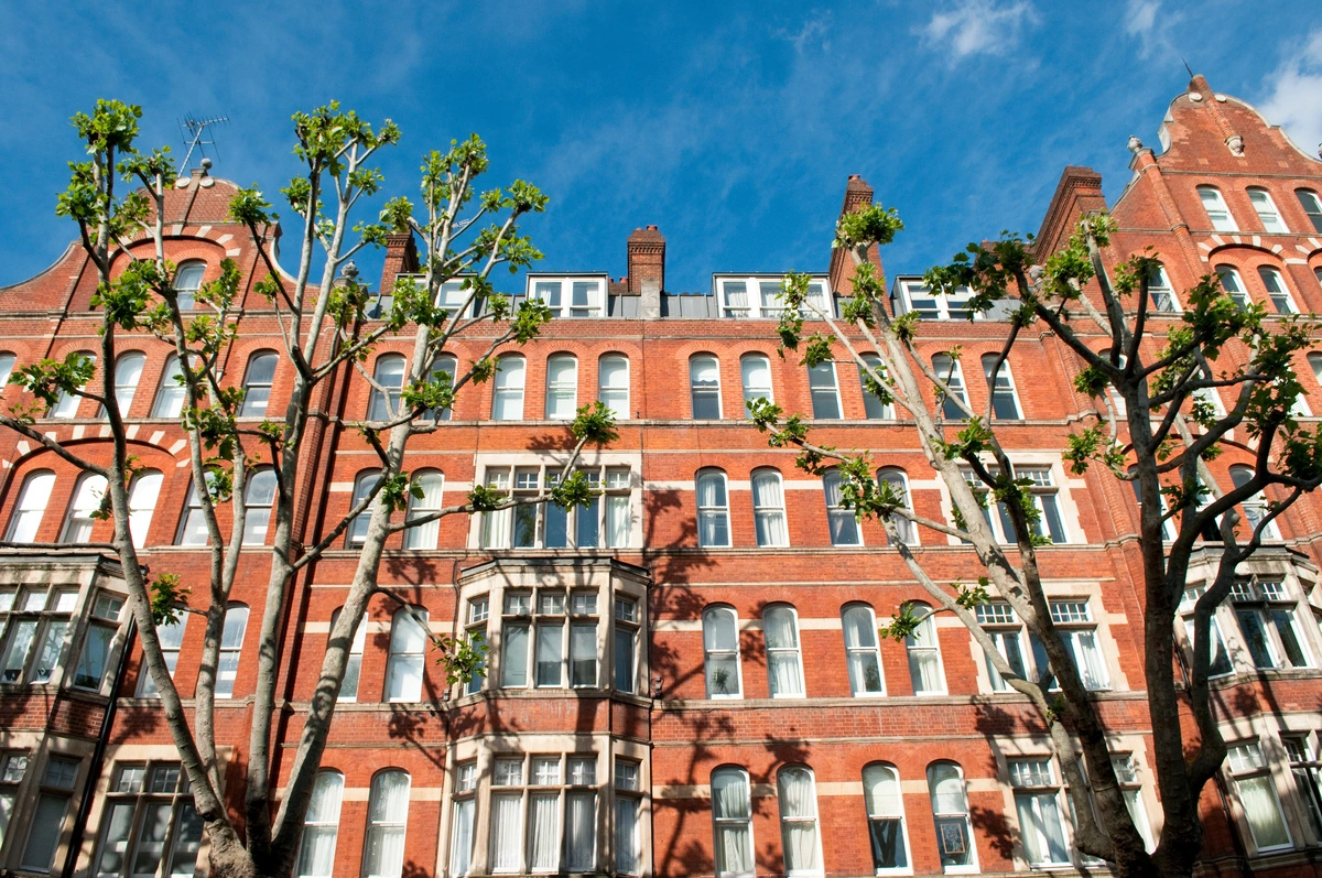 scalpnet aqua 37 Brick facade cleaner