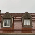 Facade, roof and floor cleaner