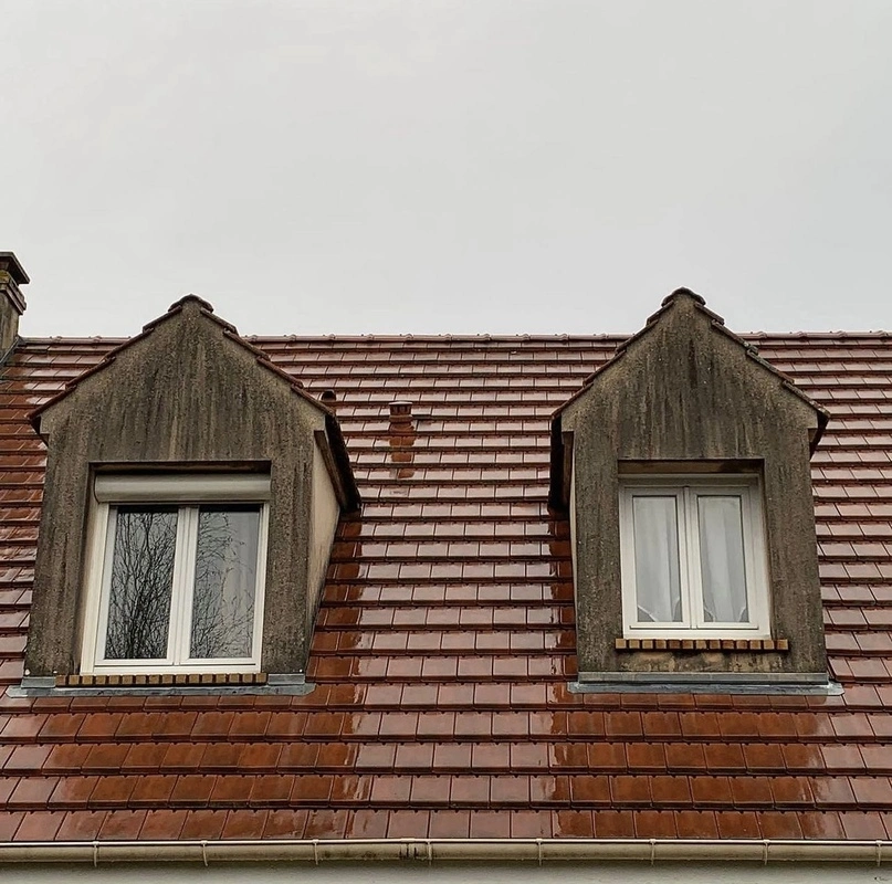 SCALP RENOV'EXPRESS BEFORE Facade, roof and floor cleaner