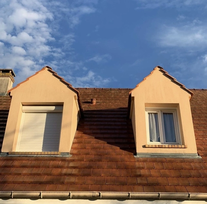 SCALP RENOV'EXPRESS AFTER No-rinse cleanser