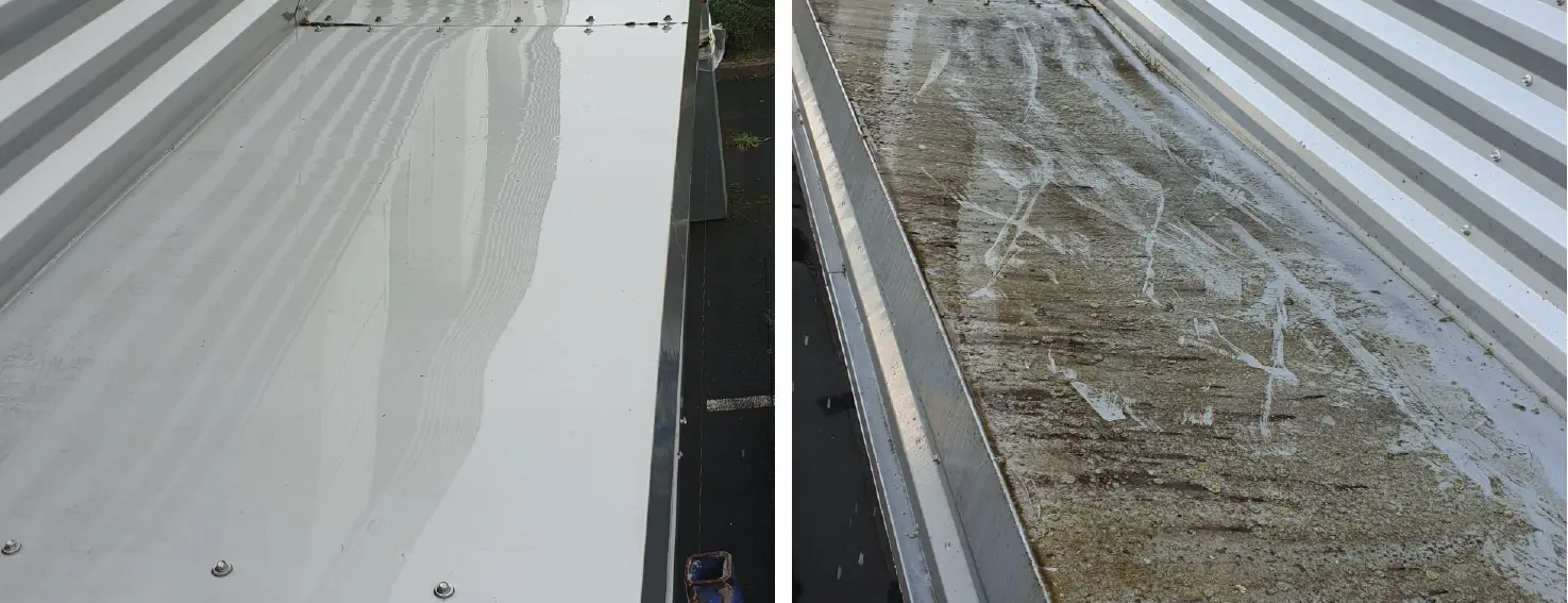 PRONET Facade shampoo