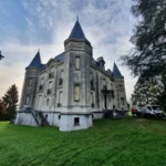 Stone facade cleaner