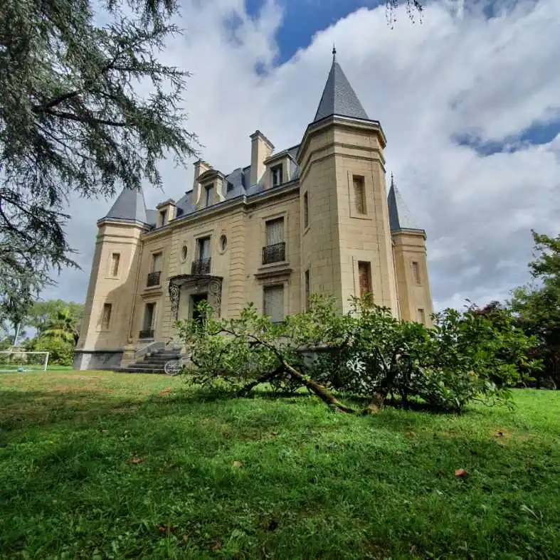 Stone facade cleaner