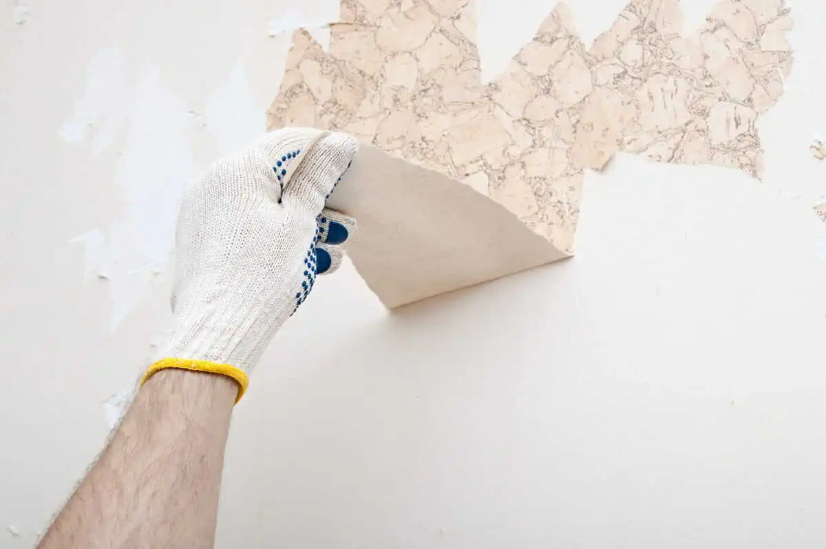 decol'papier Wallpaper stripper