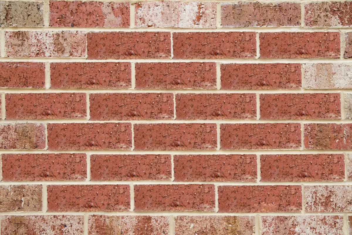 salpêtre mur brique Anti-efflorescent and surface neutralizer