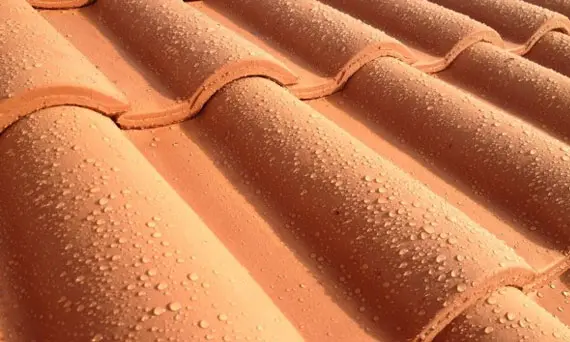 Colorless water repellent for roofs and facades