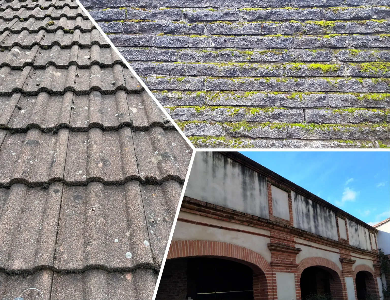 bati'net m Ready-to-use treatment