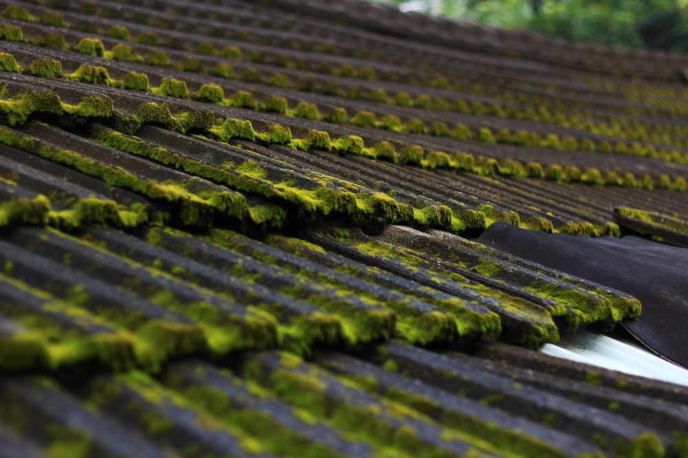 BATI'NET 3100 Concentrated algaecide treatment